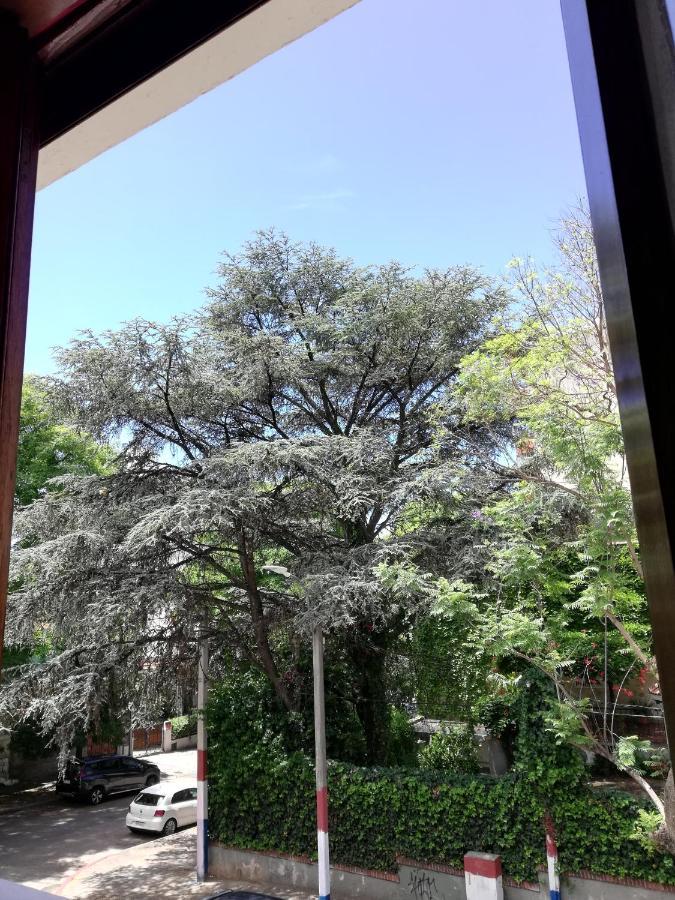 Private Room In Beautiful Home Montevideo Exterior photo